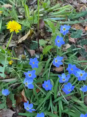 平野神社(京都府)