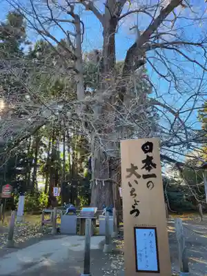 水戸八幡宮(茨城県)