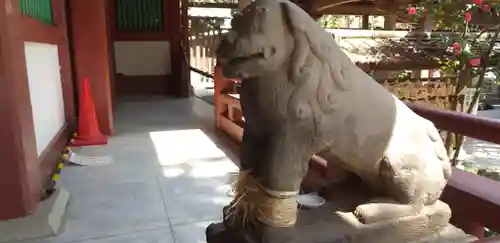 越ヶ谷久伊豆神社の狛犬