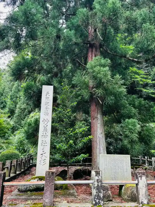 妙義神社(群馬県)
