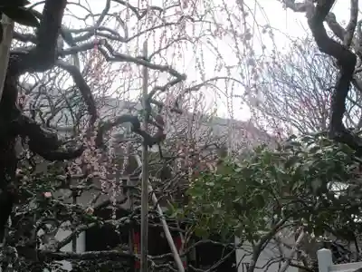 宝戒寺(神奈川県)