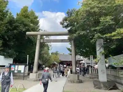 浅草神社の鳥居