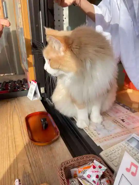 駒込妙義神社(東京都)
