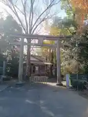 阿蘇神社(東京都)