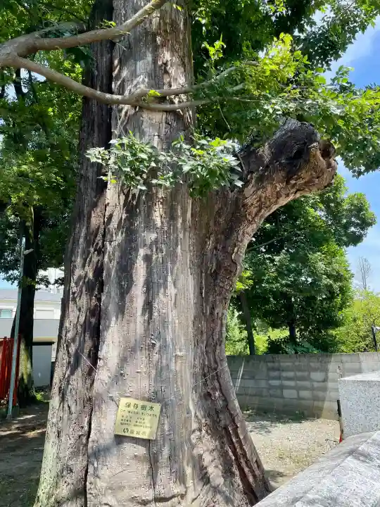 青渭神社(東京都)