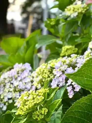 白鳥神社(長野県)