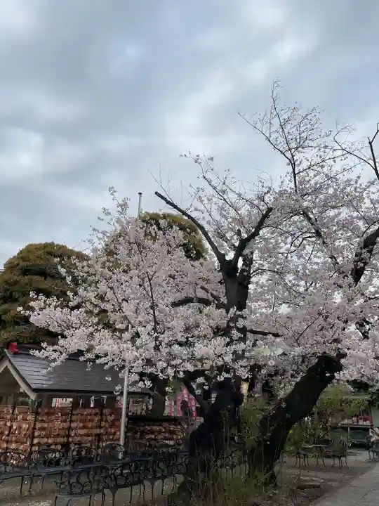 今戸神社(東京都)