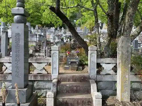 法泉寺のお墓