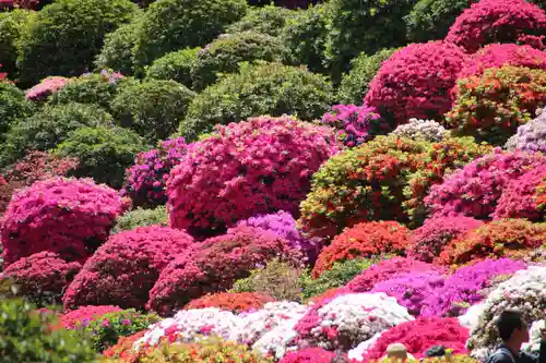 根津神社の庭園