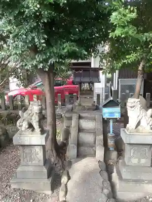 神明社(露橋神明社)の狛犬