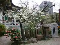 難波八阪神社(大阪府)
