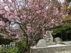 伊豫豆比古命神社の自然