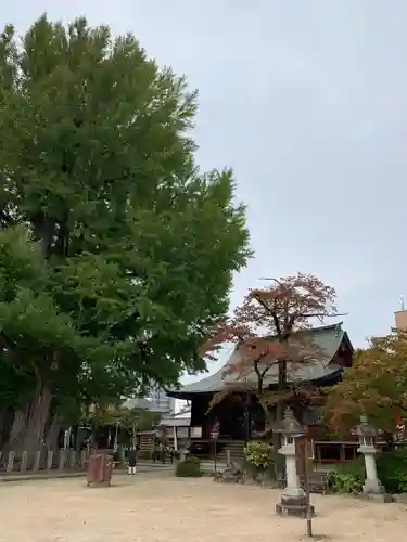 飛騨国分寺の本殿