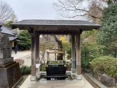 達磨寺(群馬県)