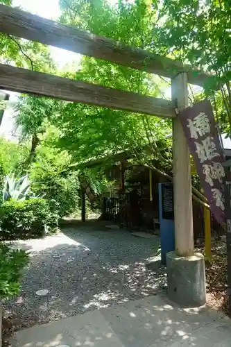 橋姫神社の鳥居