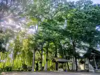 諏訪神社の{uncategorized: "未分類", other: "その他", undefined: "問題あり", building: "その他建物", grave: "お墓", sacred_gate: "鳥居", guardian: "狛犬", statue: "像", buddha: "仏像", history: "歴史", nature: "自然", garden: "庭園", animal: "動物", pagoda: "塔", temizu: "手水舎", mountain_gate: "山門・神門", sanctuary: "本殿・本堂", subordinate: "末社・摂社", art: "芸術", scenery: "景色", jizo: "地蔵", ema: "絵馬", goshuin: "御朱印", omikuji: "おみくじ", items: "授与品その他", amulet: "お守り", goshuincho: "御朱印帳", eats: "食事", festival: "お祭り", votive_dance: "神楽", shichigosan: "七五三参", wedding: "結婚式", experience: "体験その他", initially: "初詣", around: "周辺", anti_infection: "感染症対策"}