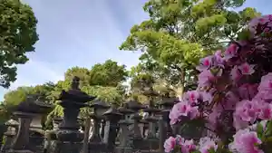 本妙寺の自然(2021年04月18日(日) 08時16分19秒投稿)