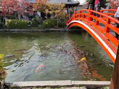 神泉苑(京都府)