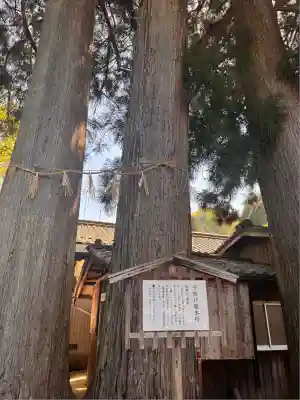 玉桂寺(滋賀県)