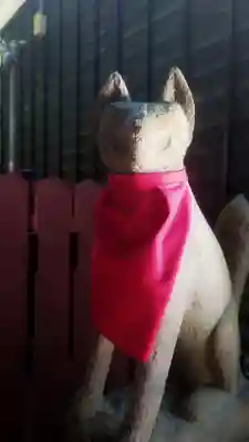 津島神社の狛犬