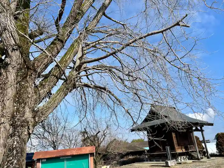 古泉馬頭観世音(栃木県)