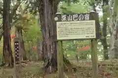 深山巴の宿の自然