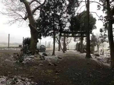 弓削神社の鳥居