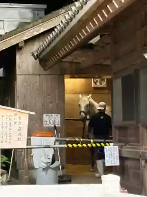 多度大社の{uncategorized: "未分類", other: "その他", undefined: "問題あり", building: "その他建物", grave: "お墓", sacred_gate: "鳥居", guardian: "狛犬", statue: "像", buddha: "仏像", history: "歴史", nature: "自然", garden: "庭園", animal: "動物", pagoda: "塔", temizu: "手水舎", mountain_gate: "山門・神門", sanctuary: "本殿・本堂", subordinate: "末社・摂社", art: "芸術", scenery: "景色", jizo: "地蔵", ema: "絵馬", goshuin: "御朱印", omikuji: "おみくじ", items: "授与品その他", amulet: "お守り", goshuincho: "御朱印帳", eats: "食事", festival: "お祭り", votive_dance: "神楽", shichigosan: "七五三参", wedding: "結婚式", experience: "体験その他", initially: "初詣", around: "周辺", anti_infection: "感染症対策"}
