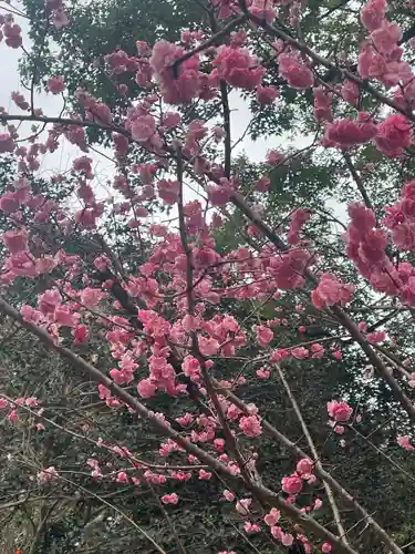 春日大社(奈良県)
