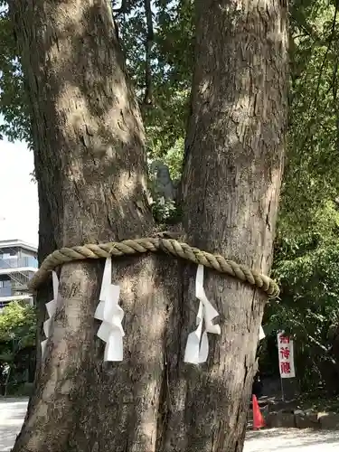 鎮守氷川神社の像