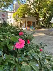 王子神社の自然