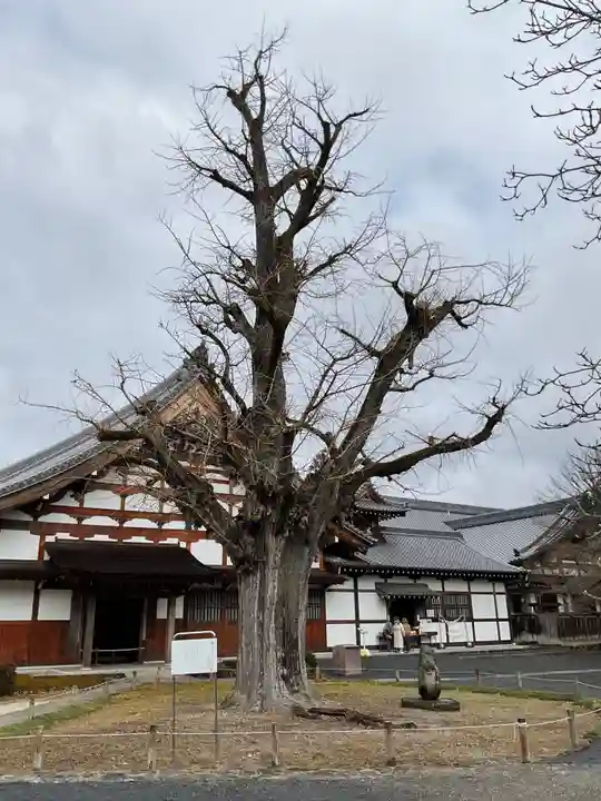 永保寺のその他建物
