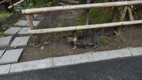 中尊寺金色堂(岩手県)