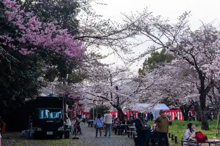 平野神社(京都府)