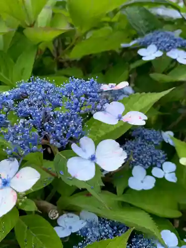 金津神社(福井県)