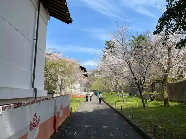 宝聚院(京都府)