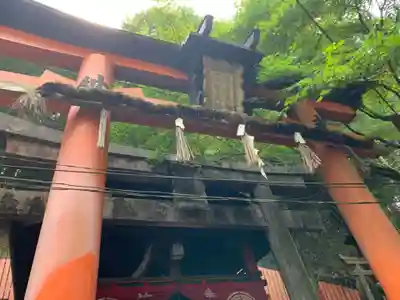 伏見稲荷大社の鳥居