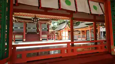 宇佐神宮の本殿・本堂