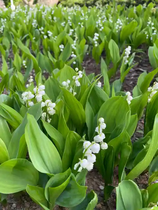 松尾寺(京都府)
