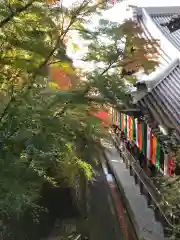 禅林寺（永観堂）の本殿