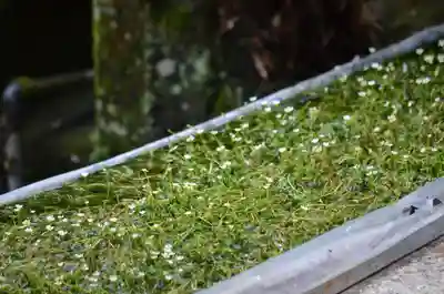 醒井延命地蔵尊(滋賀県)