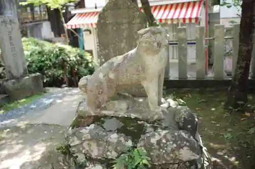 筑波山神社の狛犬