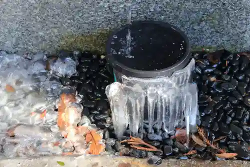 高司神社〜むすびの神の鎮まる社〜の自然