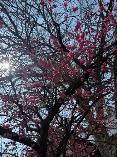 豊平神社(北海道)