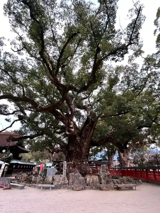 宇美八幡宮(福岡県)
