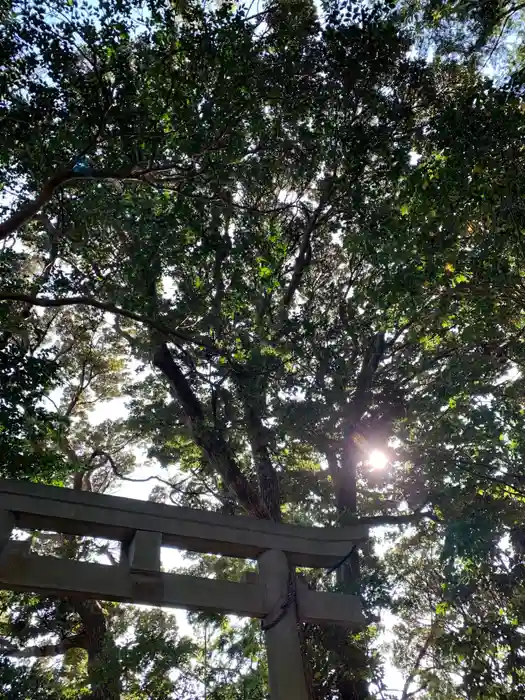 八幡神社の鳥居