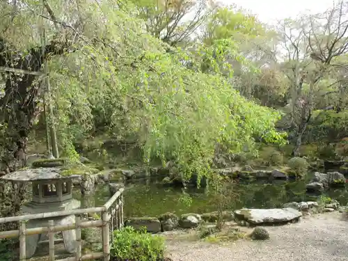 竹林院の庭園