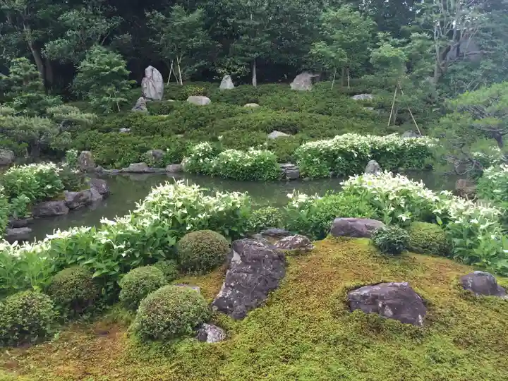 両足院の庭園