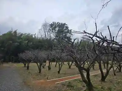 大覚寺(京都府)