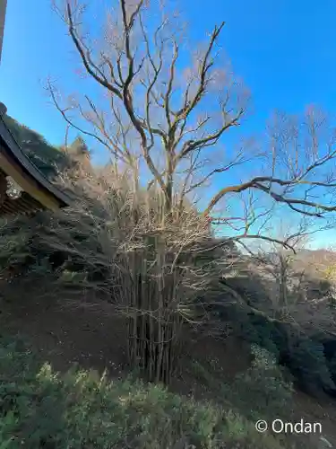 正法寺(滋賀県)